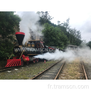 Trains de piste à vapeur à la gare pour la trvaturelle